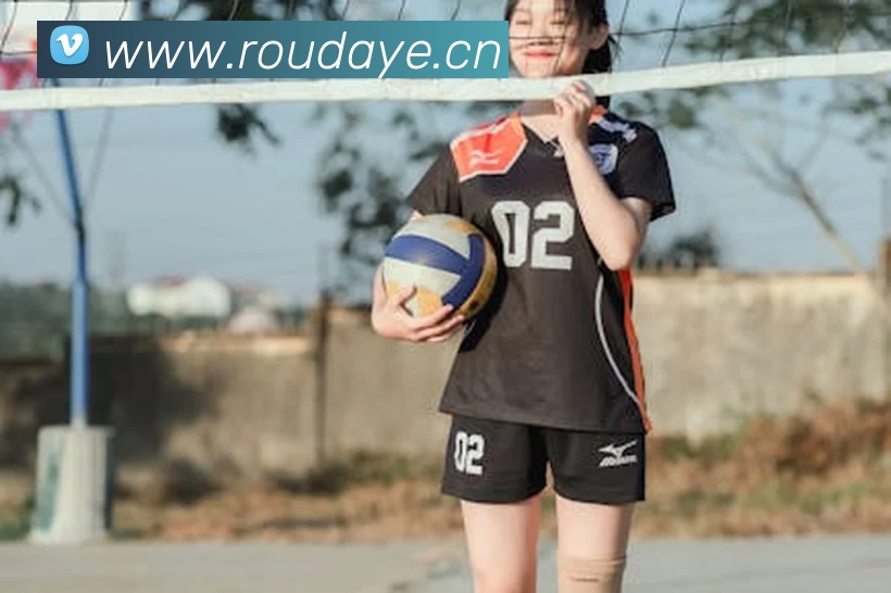 半岛官网登陆入口平台生态图